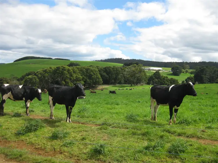 Fifth view of Homely rural property listing, 2109 Murchison Highway, Henrietta TAS 7325