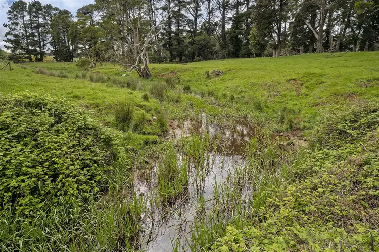 Sixth view of Homely rural property listing, 2109 Murchison Highway, Henrietta TAS 7325