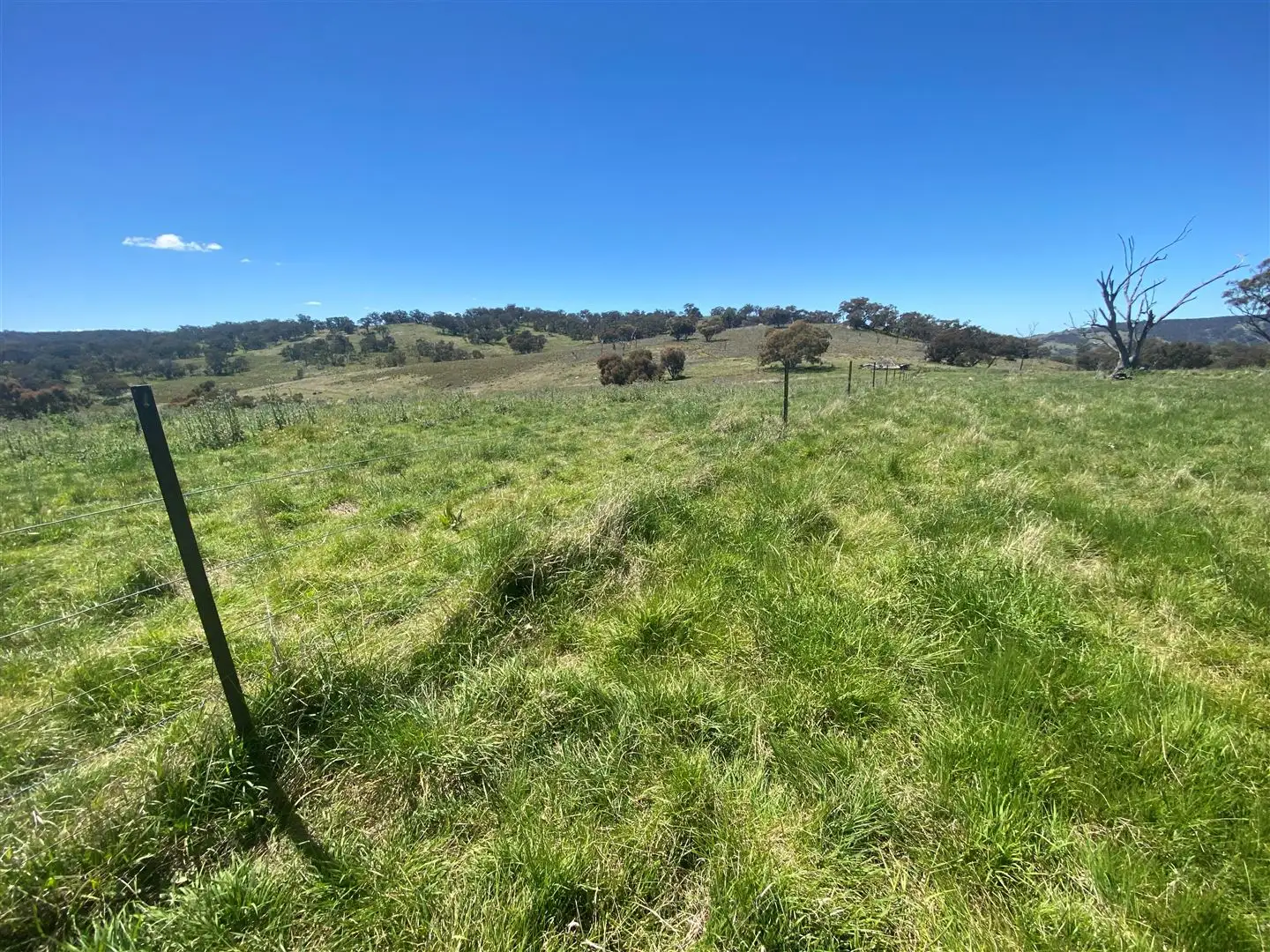 Main view of Homely rural property listing, Lot 202/174A Beechworth Road, Hargraves NSW 2850