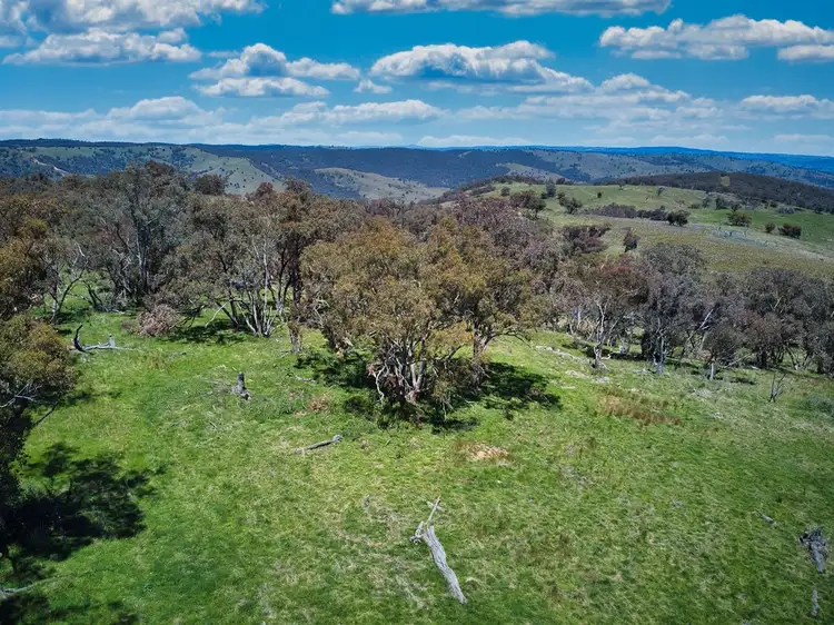 Sixth view of Homely rural property listing, Lot 202/174A Beechworth Road, Hargraves NSW 2850