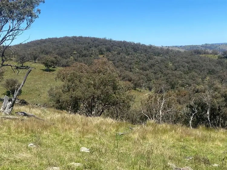 Seventh view of Homely rural property listing, Lot 202/174A Beechworth Road, Hargraves NSW 2850