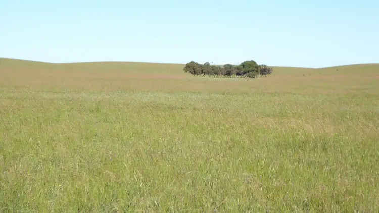 Second view of Homely rural property listing, 1703 Jabuk South Road, Coonalpyn SA 5265