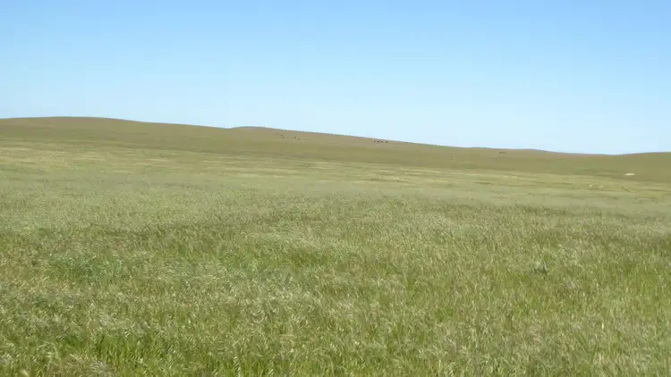Third view of Homely rural property listing, 1703 Jabuk South Road, Coonalpyn SA 5265