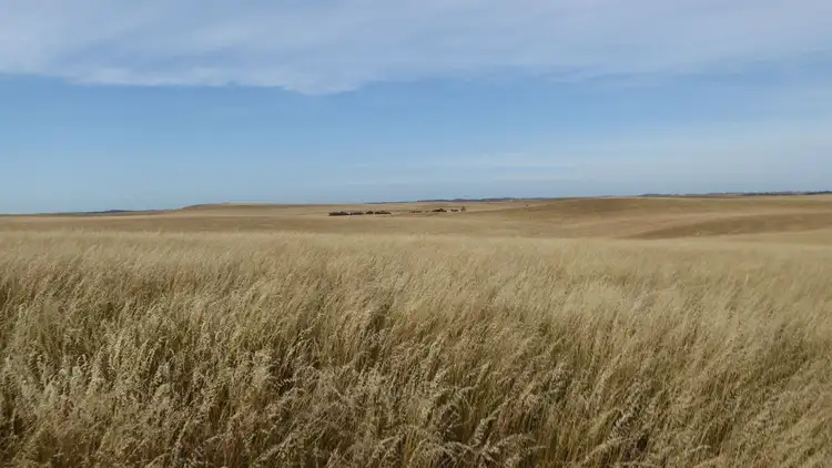 Fifth view of Homely rural property listing, 1703 Jabuk South Road, Coonalpyn SA 5265