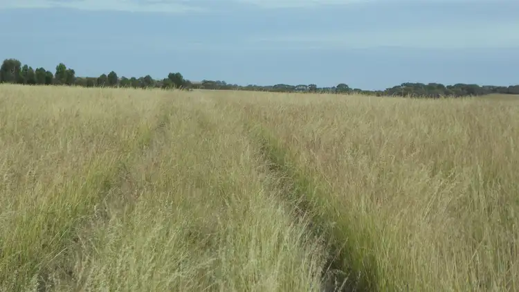 Sixth view of Homely rural property listing, 1703 Jabuk South Road, Coonalpyn SA 5265