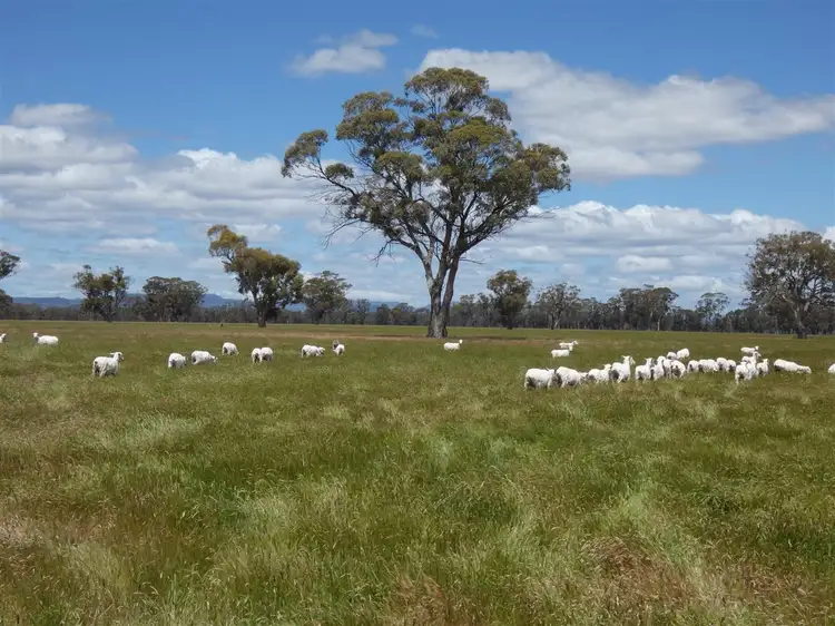 Second view of Homely rural property listing, C/A 91 & 92 Grahams Bridge Road, Wonwondah VIC 3401