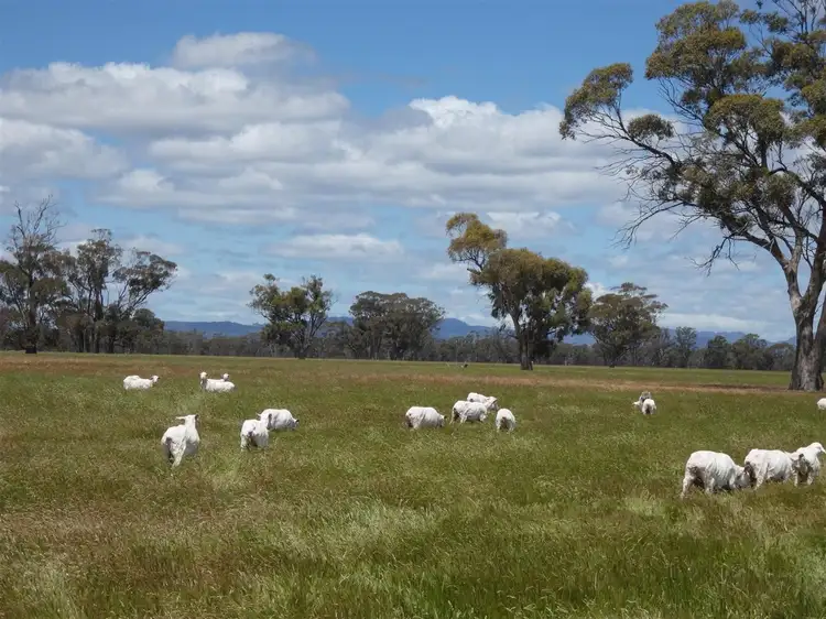 Sixth view of Homely rural property listing, C/A 91 & 92 Grahams Bridge Road, Wonwondah VIC 3401