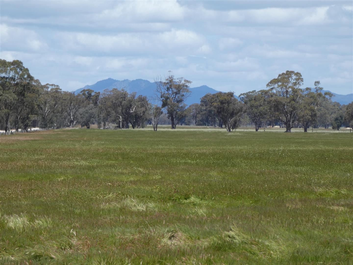 Seventh view of Homely rural property listing, C/A 91 & 92 Grahams Bridge Road, Wonwondah VIC 3401