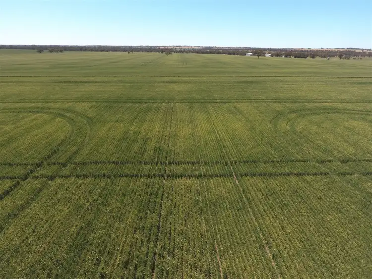 Fifth view of Homely rural property listing, 0 Sandsmere-Bleakhouse Rd, Kaniva VIC 3419