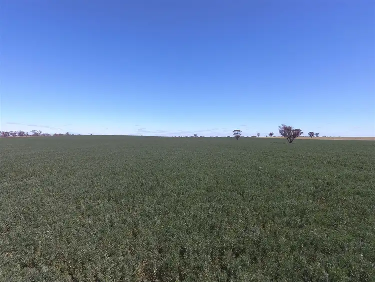 Sixth view of Homely rural property listing, 0 Sandsmere-Bleakhouse Rd, Kaniva VIC 3419