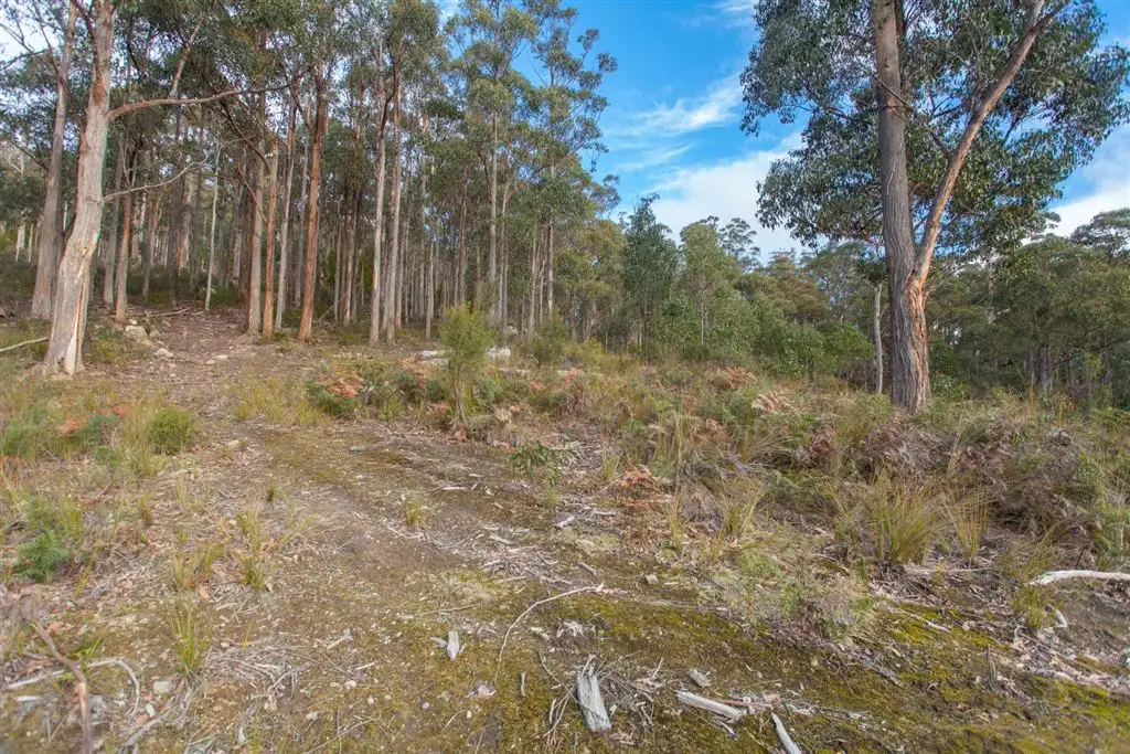 Main view of Homely land listing, Lot 0785 Wallis Road, Judbury TAS 7109