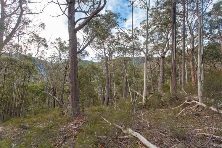 Second view of Homely land listing, Lot 0785 Wallis Road, Judbury TAS 7109