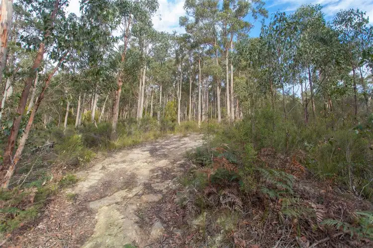 Fifth view of Homely land listing, Lot 0785 Wallis Road, Judbury TAS 7109
