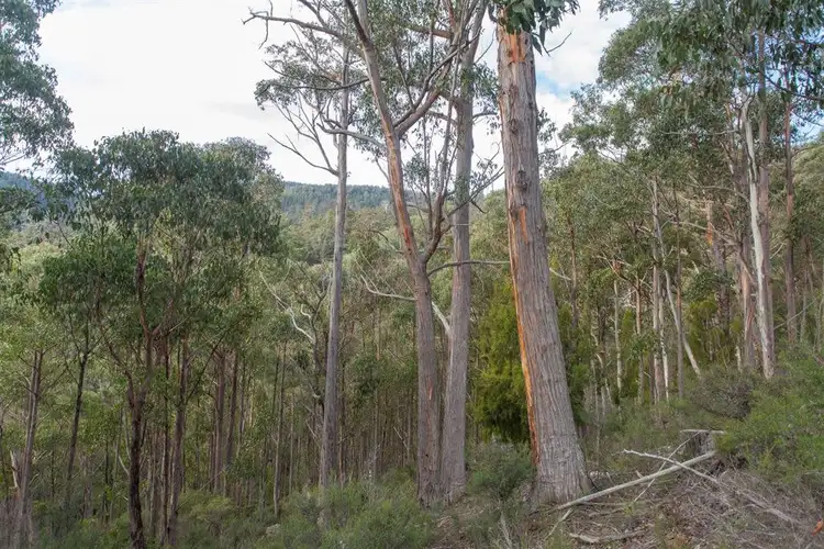 Sixth view of Homely land listing, Lot 0785 Wallis Road, Judbury TAS 7109