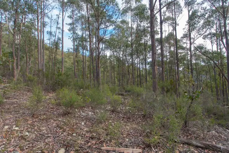 Seventh view of Homely land listing, Lot 0785 Wallis Road, Judbury TAS 7109