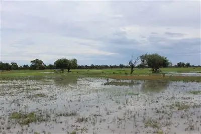 Fourth view of Homely rural property listing, Address available on request