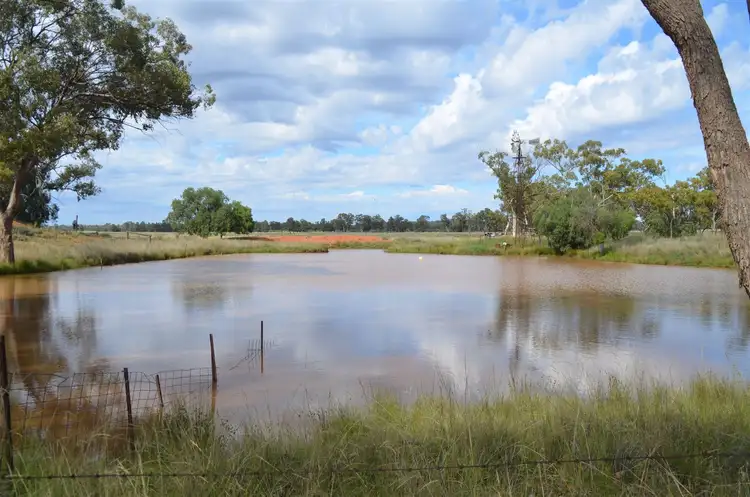 * Yimkin, Cobar NSW 2835