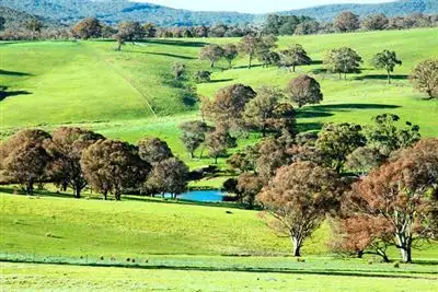 Third view of Homely rural property listing, 387 Bigga Road, Binda NSW 2583