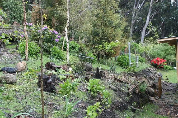 Fifth view of Homely land listing, 805 Lottah Road, Lottah TAS 7216