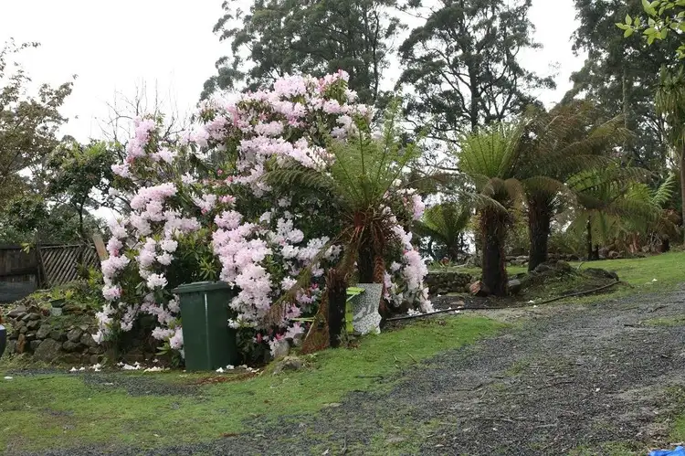 Sixth view of Homely land listing, 805 Lottah Road, Lottah TAS 7216