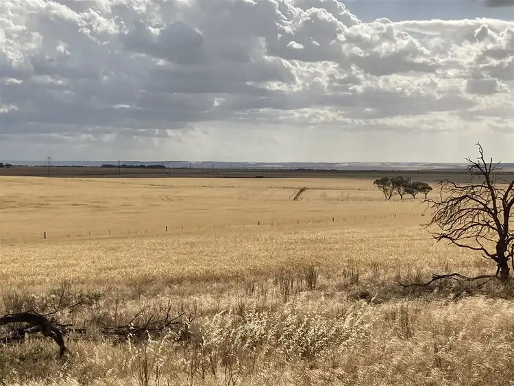 Third view of Homely rural property listing, Borlace Road Borlace Road, Bowmans SA 5550