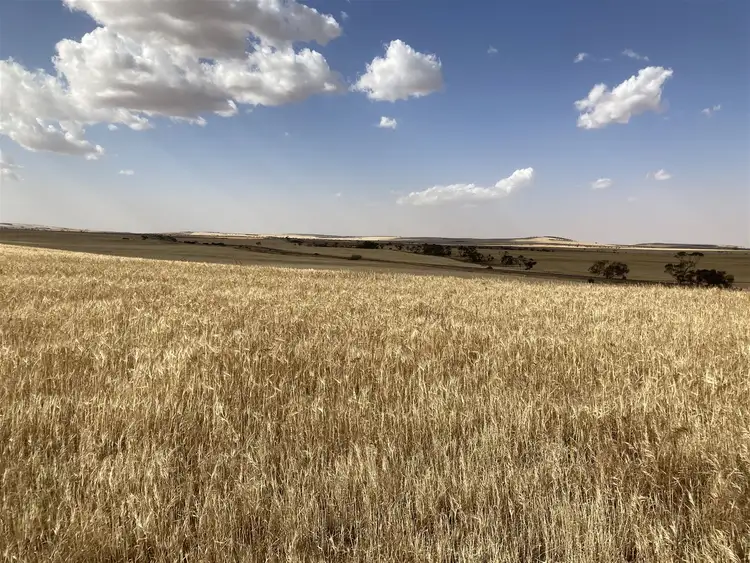 Fourth view of Homely rural property listing, Borlace Road Borlace Road, Bowmans SA 5550