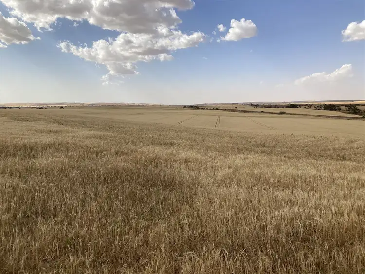 Fifth view of Homely rural property listing, Borlace Road Borlace Road, Bowmans SA 5550