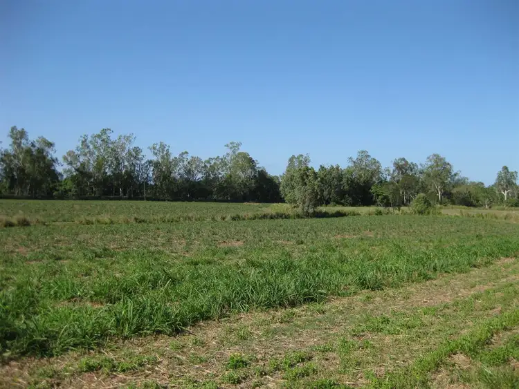 Sixth view of Homely rural property listing, Address available on request