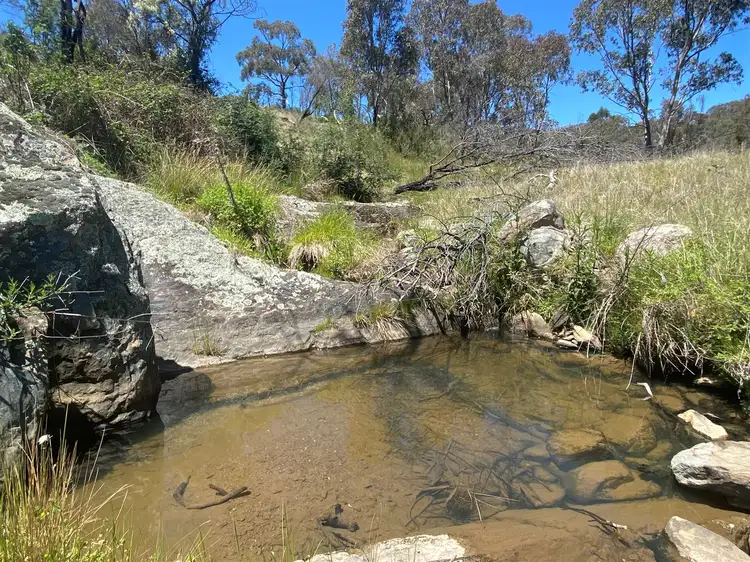 Second view of Homely rural property listing, S/D Lot 3/174B Triamble Road Hargraves, Mudgee NSW 2850