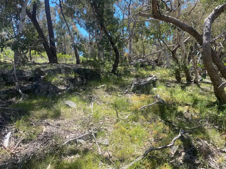 Third view of Homely rural property listing, S/D Lot 3/174B Triamble Road Hargraves, Mudgee NSW 2850