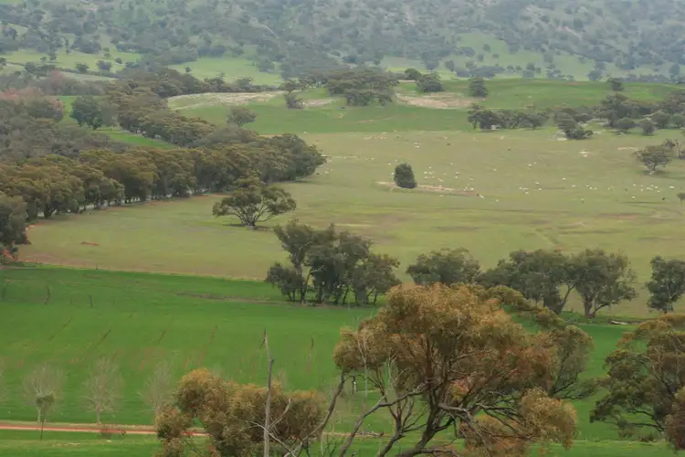 Fourth view of Homely rural property listing, Address available on request