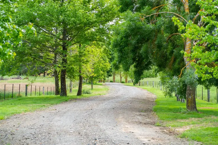 Fifth view of Homely rural property listing, Wahroonga/3190 Jingellic Road, Holbrook NSW 2644