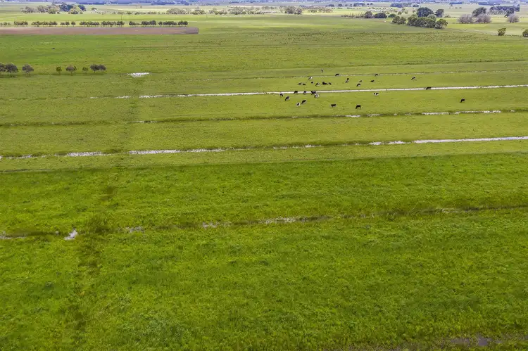 Sixth view of Homely rural property listing, 266 Occupation Lane, Garvoc VIC 3265