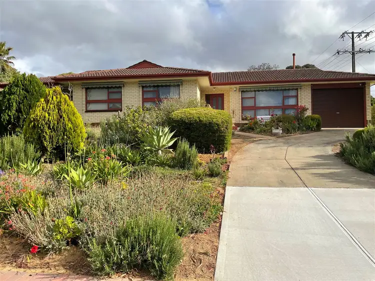 7 Tripoli Road