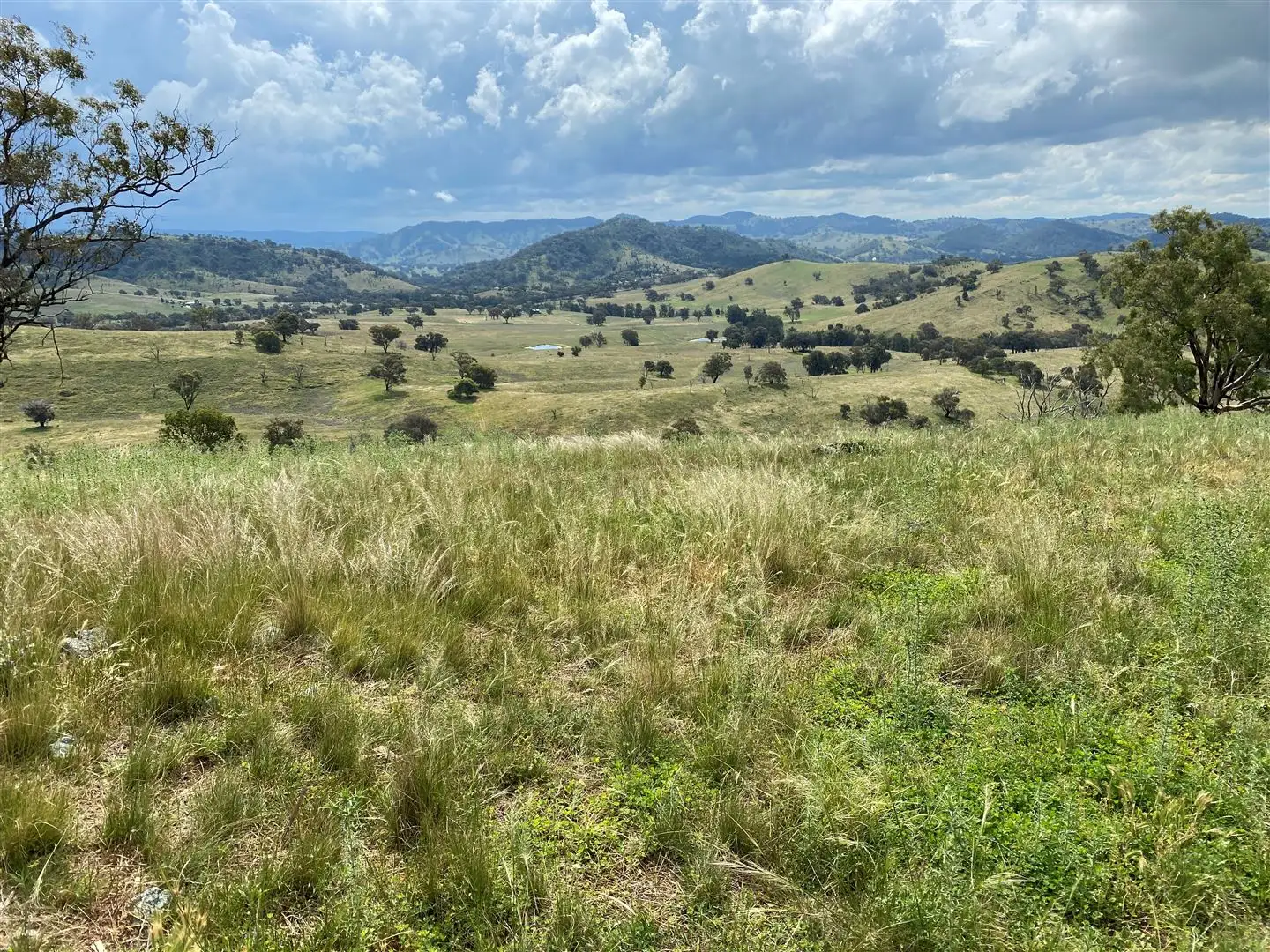 Main view of Homely rural property listing, Lot 65 379 Windeyer Rd, Grattai, Mudgee NSW 2850