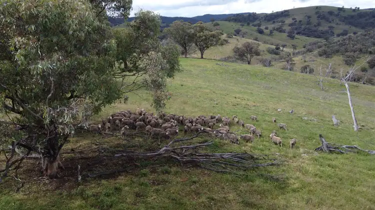 Seventh view of Homely rural property listing, Lot 65 379 Windeyer Rd, Grattai, Mudgee NSW 2850