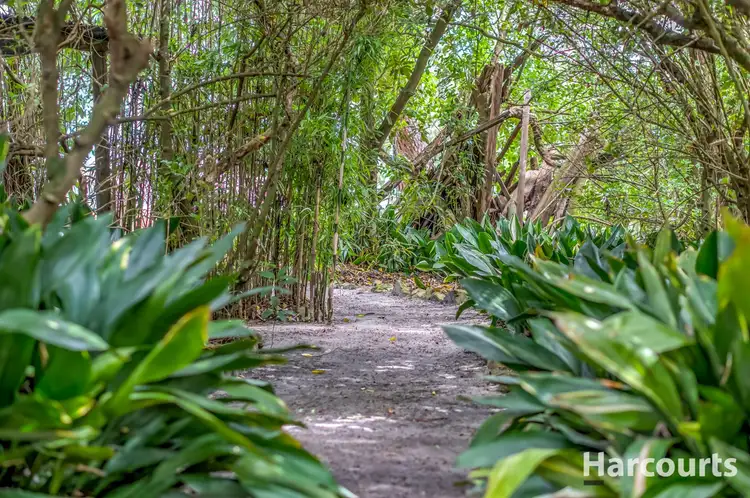 Third view of Homely rural property listing, 191 Ranch Road, Tanjil South VIC 3825