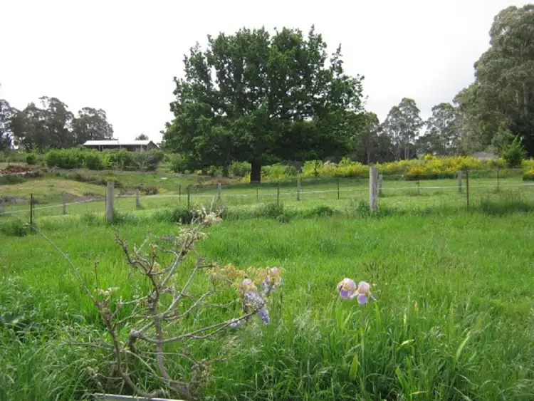 Second view of Homely house listing, 7 Grant Street, St Marys TAS 7215