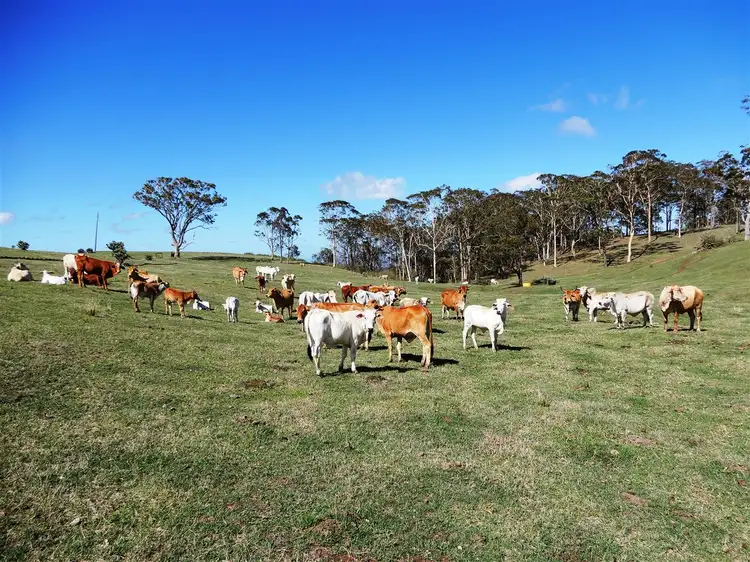 Main view of Homely rural property listing, Address available on request