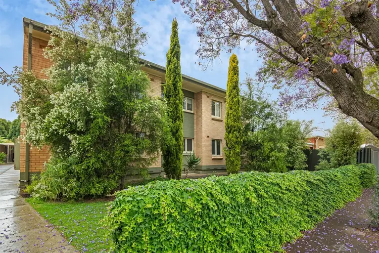 5/27 Thames Street, Clarence Park SA 5034