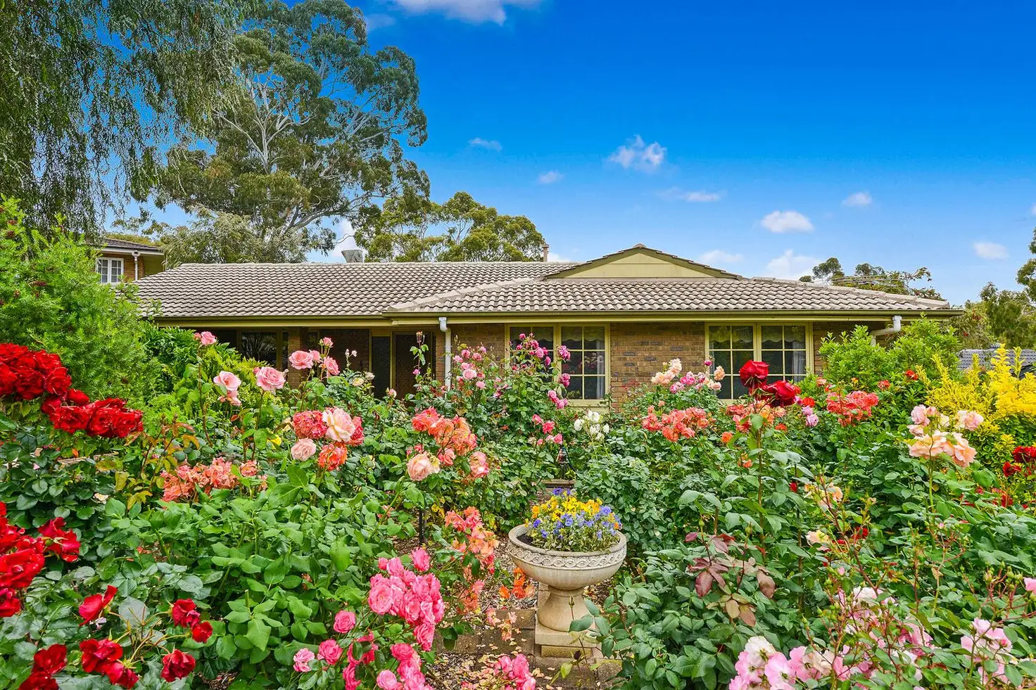 Main view of Homely house listing, 6 Rangeview Rise, Aberfoyle Park SA 5159