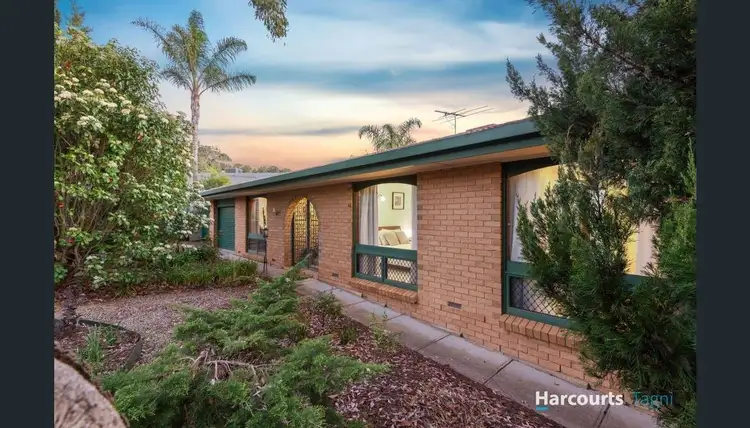 10 Tania Drive