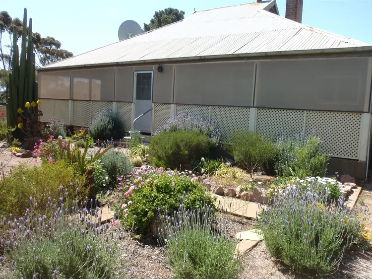 Main view of Homely rural property listing, 2 McKenzie Road, Minnipa SA 5654