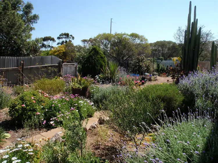 Fifth view of Homely rural property listing, 2 McKenzie Road, Minnipa SA 5654