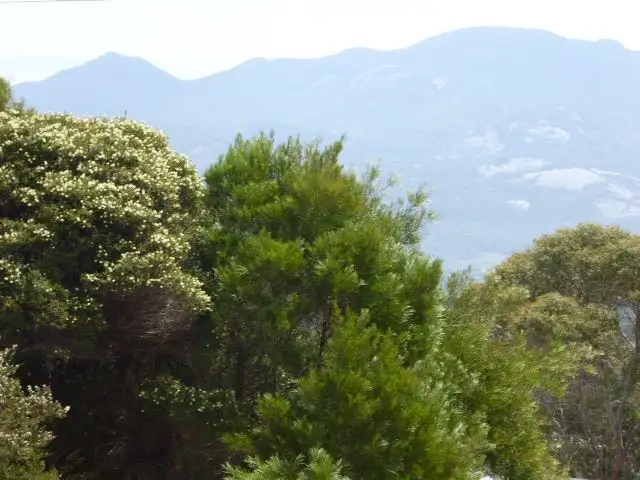 Third view of Homely land listing, 9 Moonbird Street, Lady Barron TAS 7255