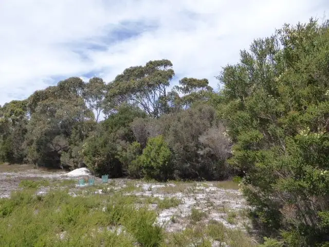 Fifth view of Homely land listing, 9 Moonbird Street, Lady Barron TAS 7255