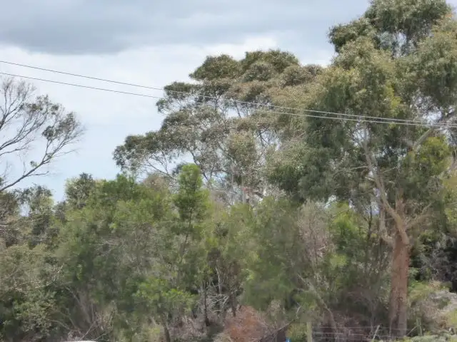 Sixth view of Homely land listing, 9 Moonbird Street, Lady Barron TAS 7255