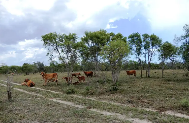 Third view of Homely rural property listing, Address available on request