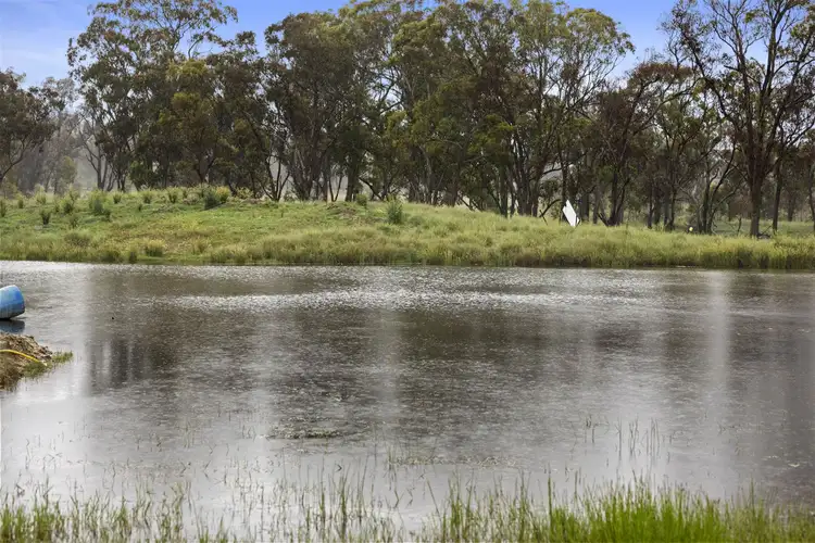 Third view of Homely rural property listing, 36 Clark Lane, Stanthorpe QLD 4380