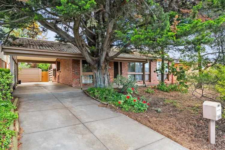 416 Montague Road, Modbury North SA 5092